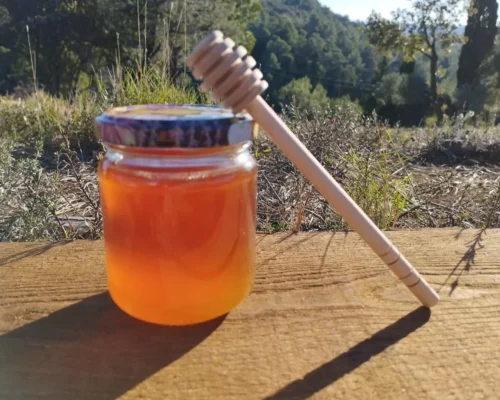 cuillère à miel en bois la ruche monnier france