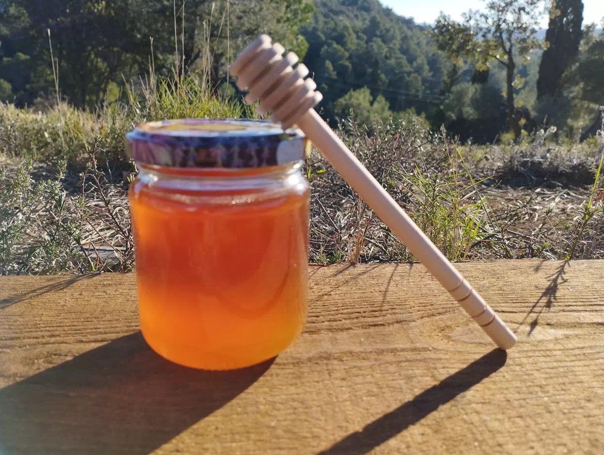 cuillère à miel en bois la ruche monnier france
