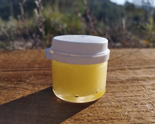 gelée royale 10g la ruche monnier france