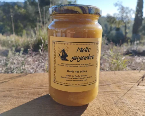 miell'o gingembre 500g la ruche monnier france