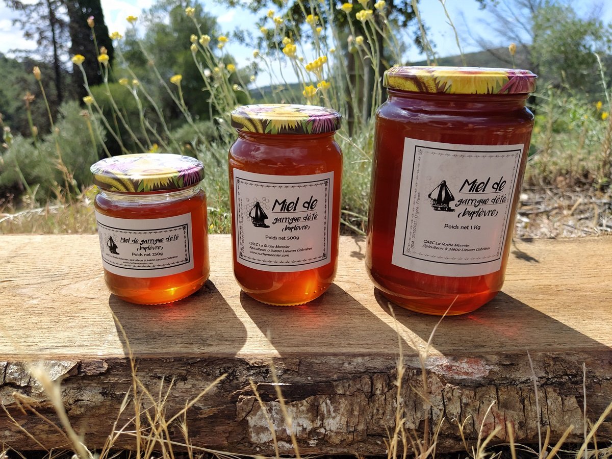 Miel de garrigue d'été (buplèvre)