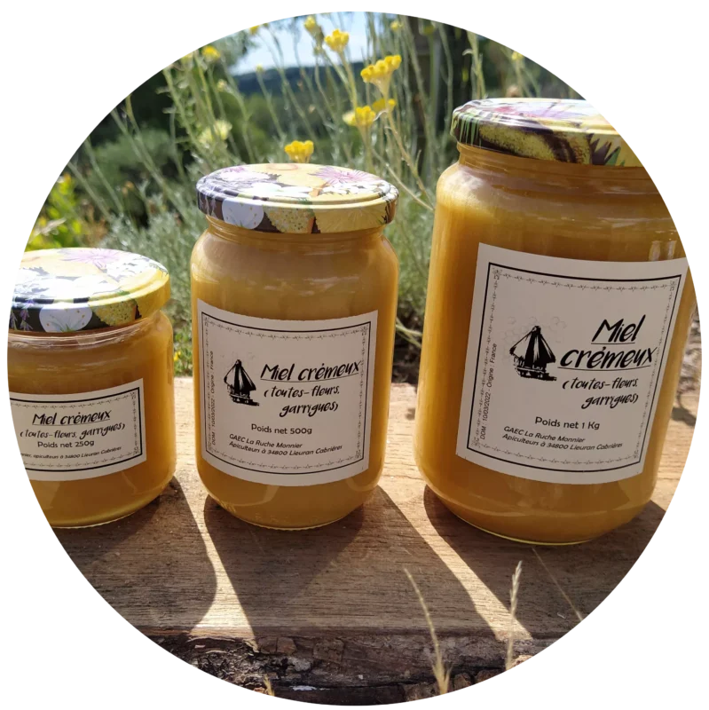 présentation des miels la ruche monnier france