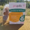 gommes de propolis la ruche monnier france