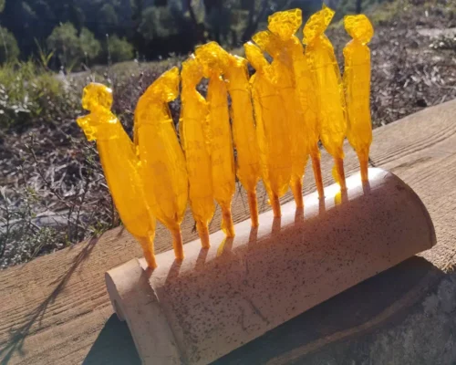 photo sucette au miel de côté la ruche monnier france