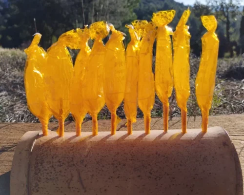 photo sucette au miel de face la ruche monnier france